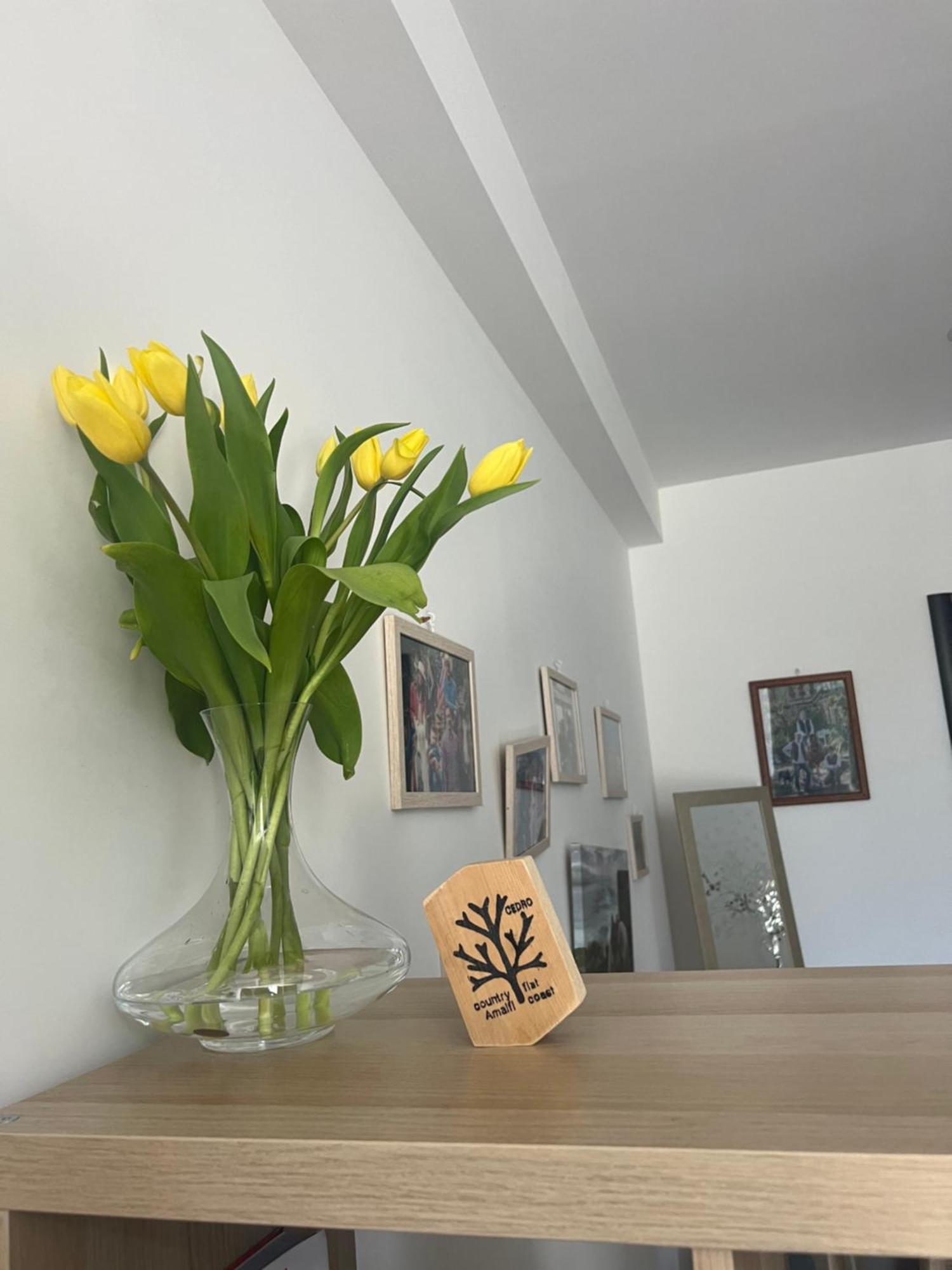 Country Bedroom Flat Vietri Екстериор снимка